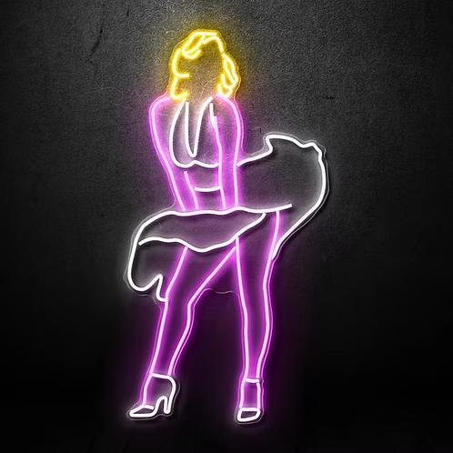 Cam ve Silikon Neon Led