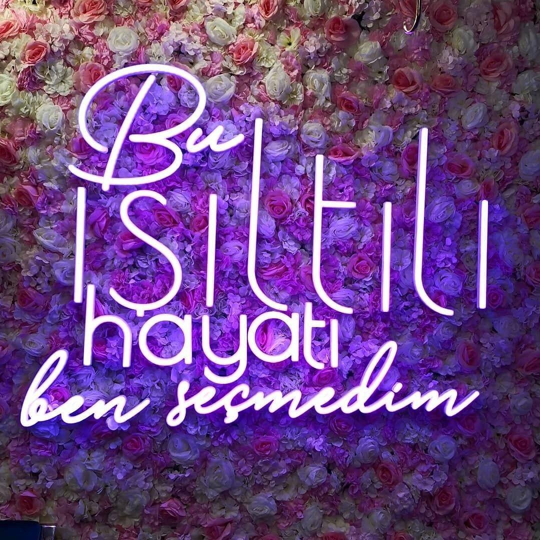 Cam ve Silikon Neon Led