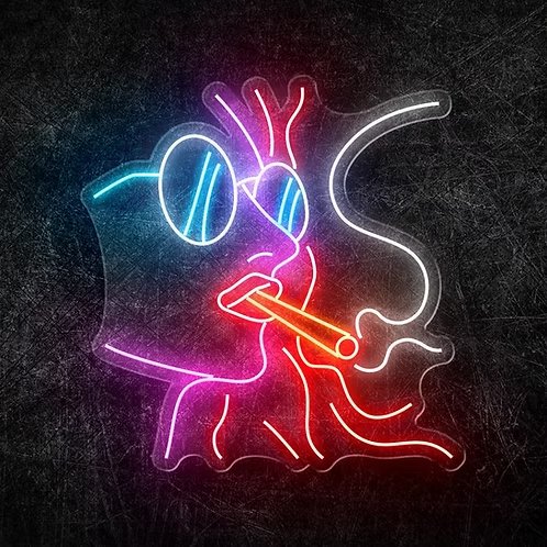Cam ve Silikon Neon Led