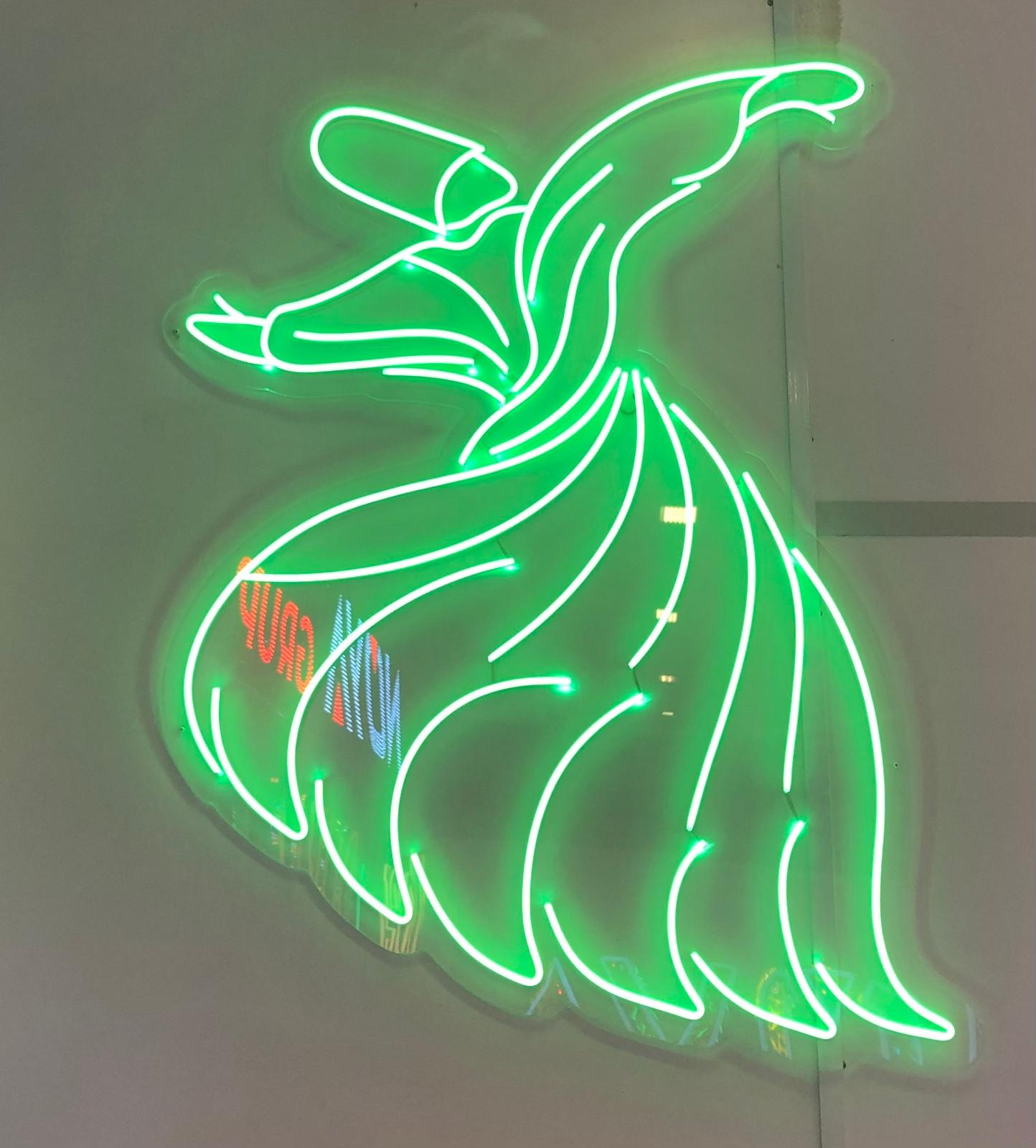 Cam ve Silikon Neon Led