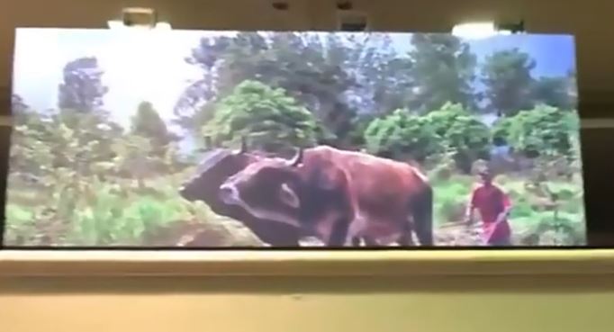 video