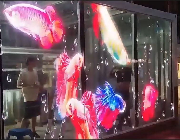 video